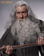 Gandalf Action Figure (Limited Edition)