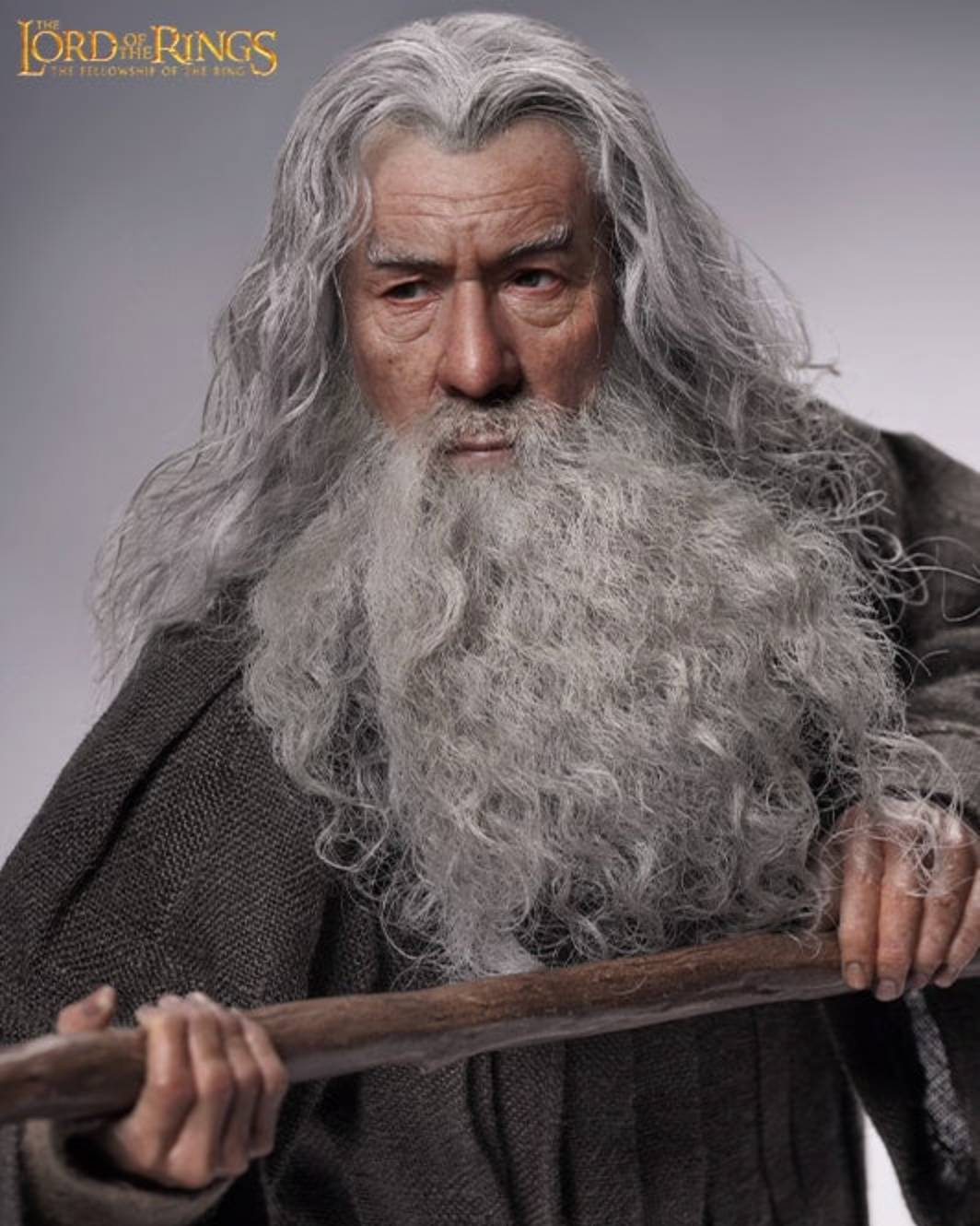Gandalf Action Figure (Limited Edition)
