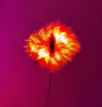 Eye of Sauron 3D Hologram Fan