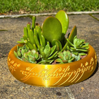 One Ring Planter Decor